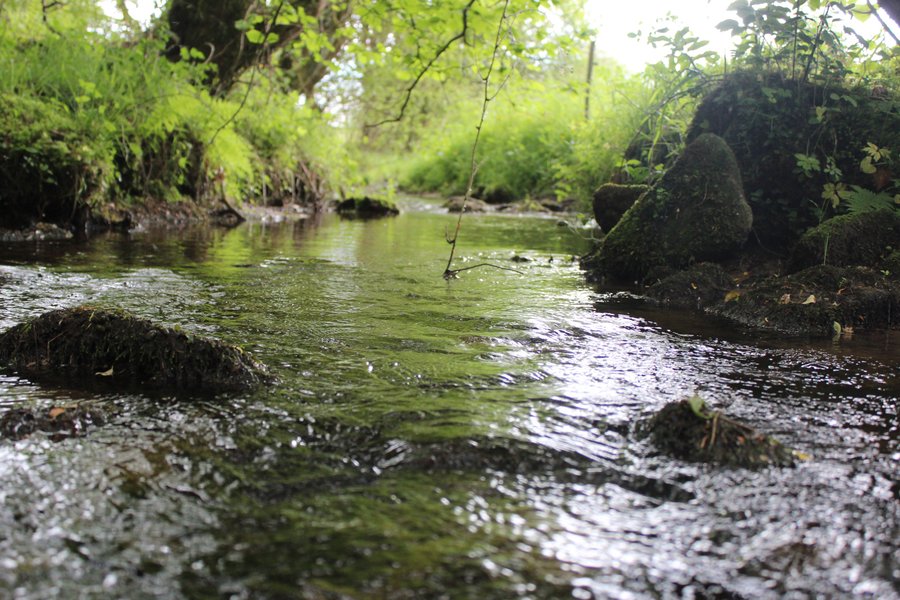 riviere2_green_tree_glamping