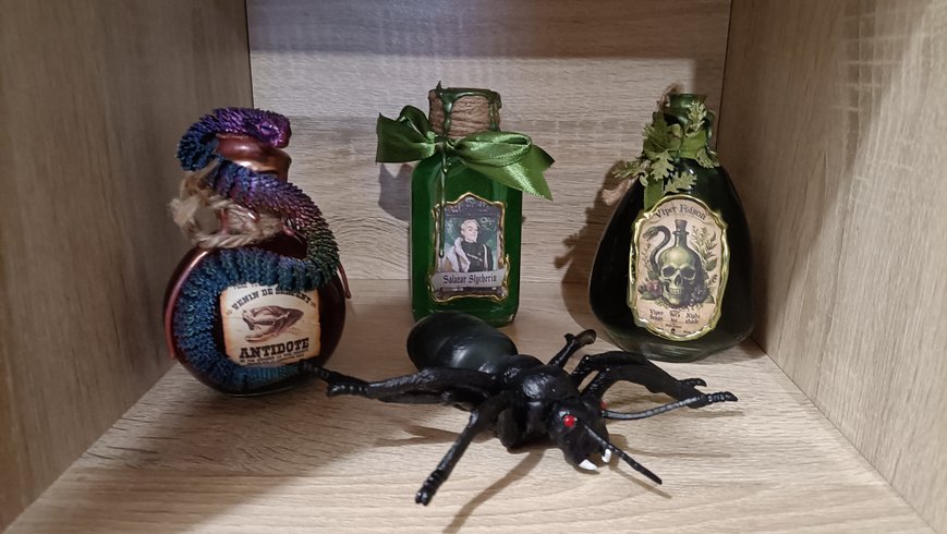 Hébergement AbracadaRoom : Le Chaudron Magique  de Loguivy - Image 37