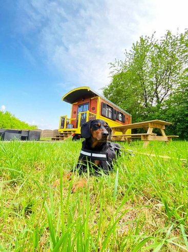 Hébergement AbracadaRoom : Roulotte Odine - Image 7