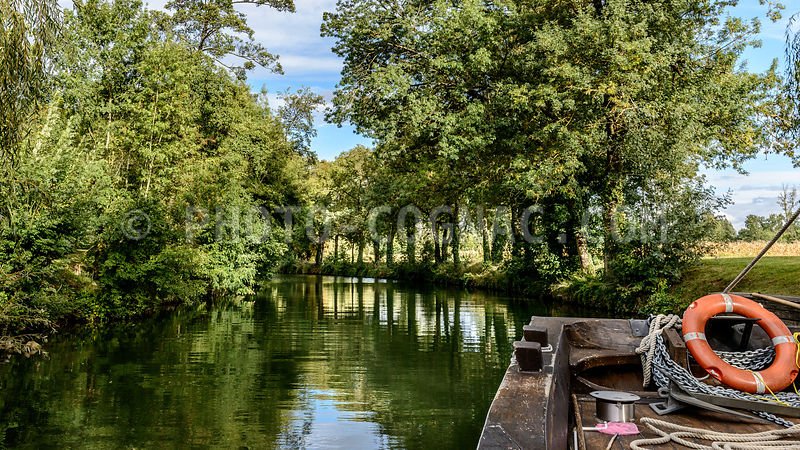 Domaine AbracadaRoom : Ecolodge du petit champ - Image 12
