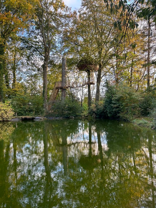 La cabane Haut-Perchée & Spa à Wail (19)