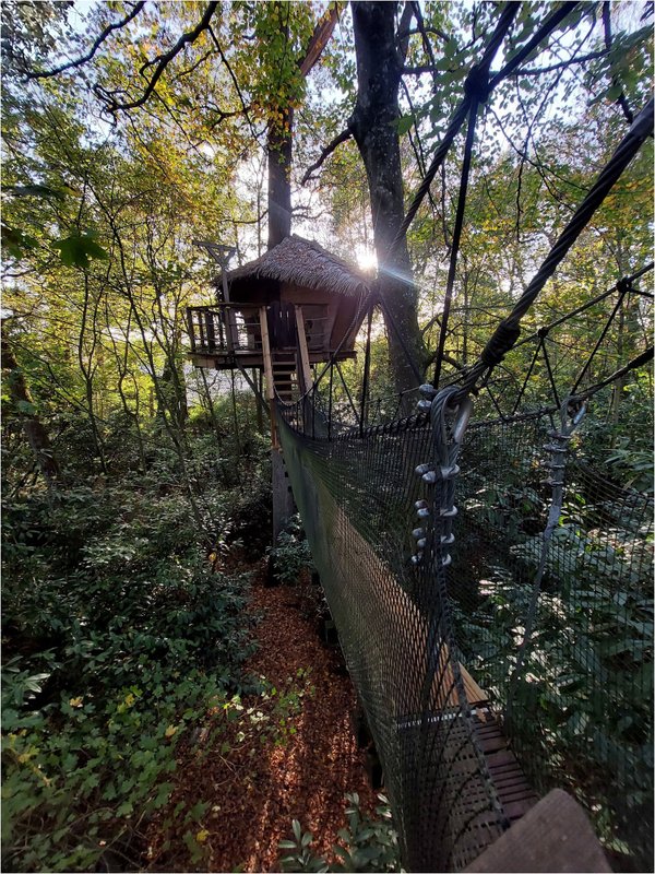 Cabane Zen perchée dans un arbre centenaire à Pons (5)