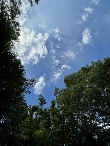 Hébergement AbracadaRoom : Bulle Spa Pégase - Image 15