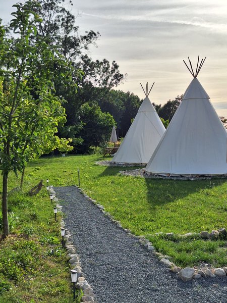 Hébergement AbracadaRoom : TIPIS nature, coucher de soleil et petit-déjeuner - Image 23