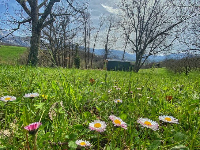 Domaine AbracadaRoom : Homnest (Saint-André) - Image 8