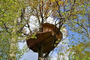 Treehouse Mayenne