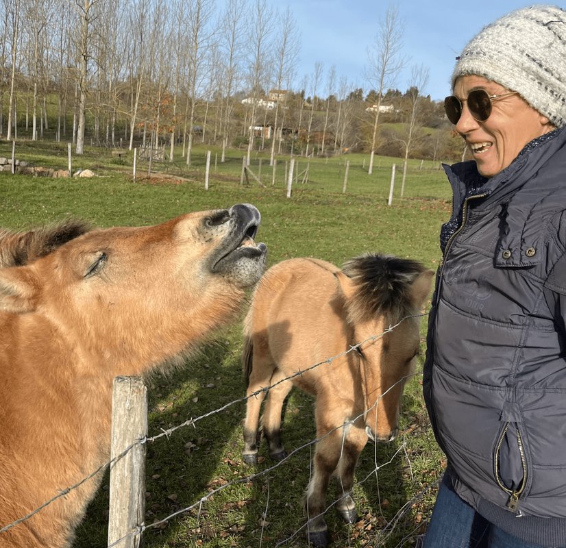 La Clairière de Peylenc - Refuge en Velay à Saint-Pierre-Eynac (18)