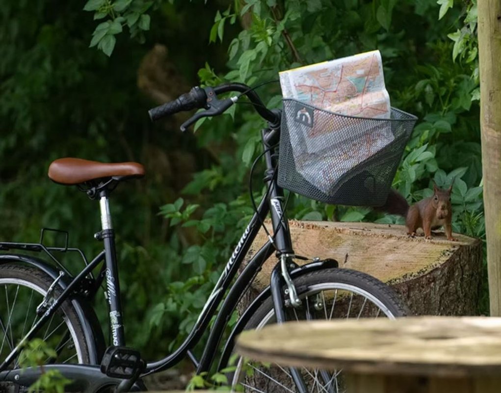La cabane" l'atelier du peintre" à Reumont (9)