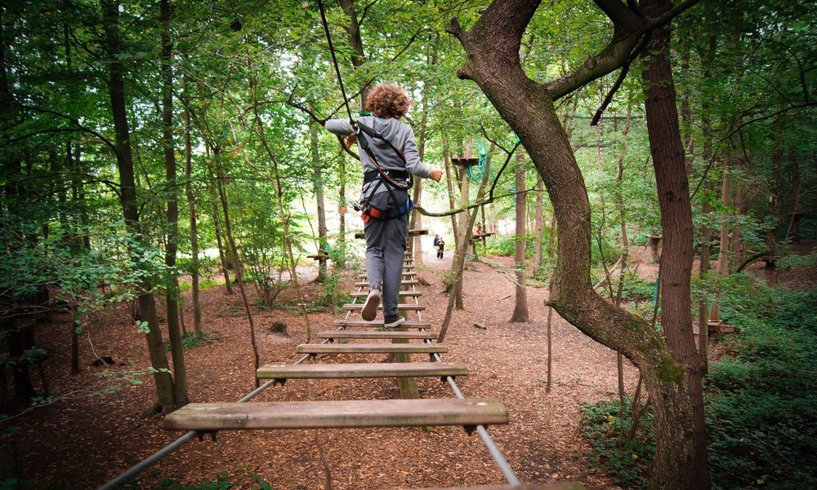 Domaine AbracadaRoom : L'Etape en Forêt - Image 3