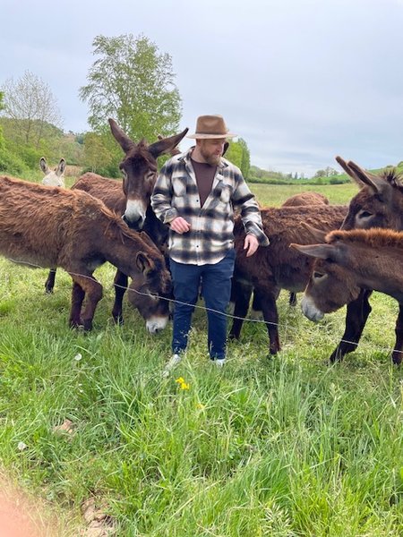 Hébergement AbracadaRoom : La Cabane Pyrénéenne au cœur de la ferme - Image 14
