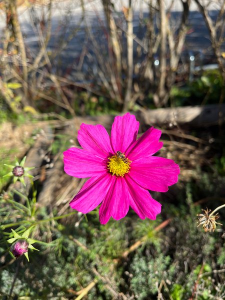 Domaine AbracadaRoom : Camping La Roche D'Ully**** - Image 9