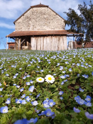 Domaine AbracadaRoom : Les Hauts de Bagadou - Image 6