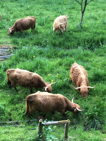 Hébergement AbracadaRoom : La Bulle - Image 13