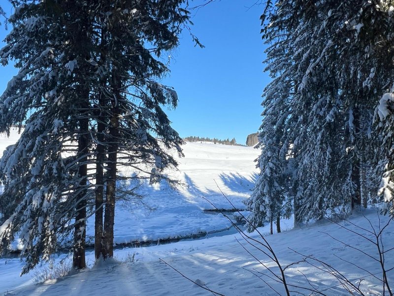 Domaine AbracadaRoom : Les Écrins du Val de Mouthe - Image 7