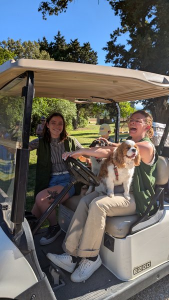 Hébergement AbracadaRoom : Cabane Refuge - Image 12