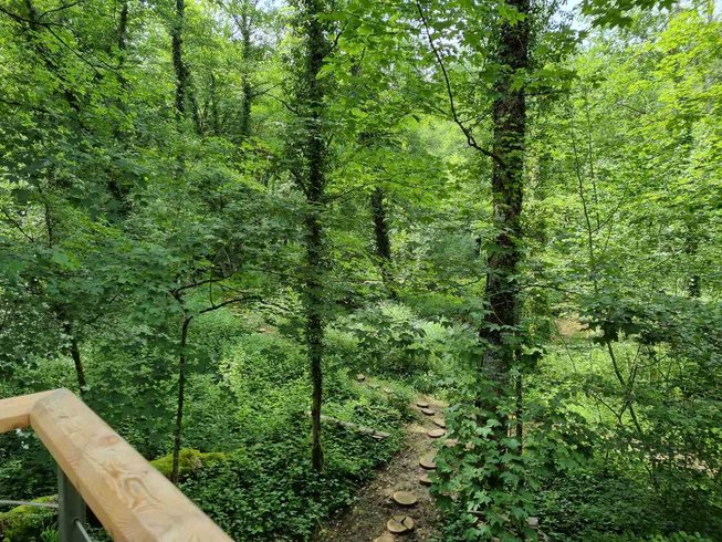 Hébergement AbracadaRoom : Cabane Corydalis & Balnéo - Image 23