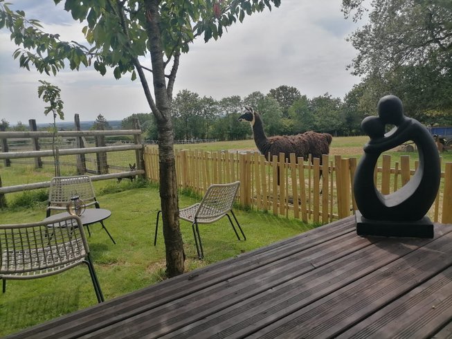 Hébergement AbracadaRoom : La Roulotte Kanavu au milieu des animaux - Image 6