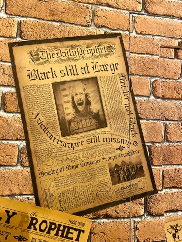 Domaine AbracadaRoom : Le refuge des mans-raudeurs - Image 22