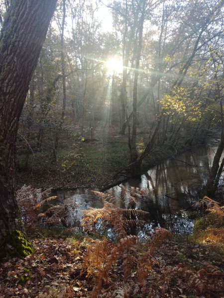 Domaine AbracadaRoom : Kaban'Etik - Image 14