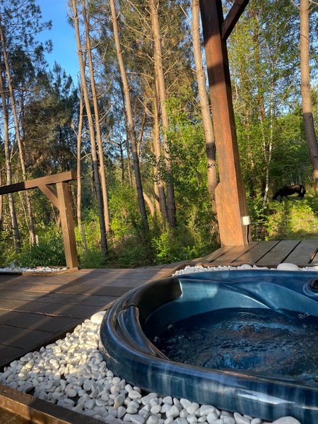 Hébergement AbracadaRoom : L'O2 : la Cabane vitrée panoramique - Image 8