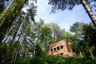 Cabane sur pilotis Pas-de-Calais