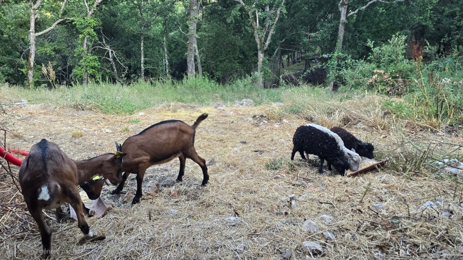 Domaine AbracadaRoom : Retour aux Sources - Image 9