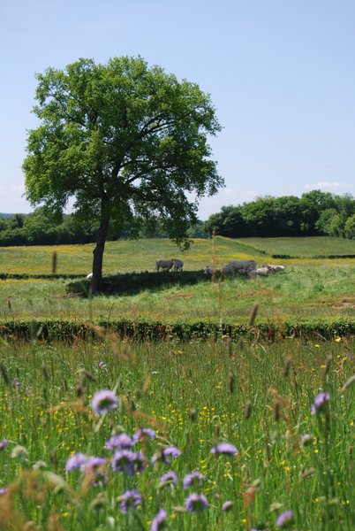 Domaine AbracadaRoom : La Grange Agitée - Image 2