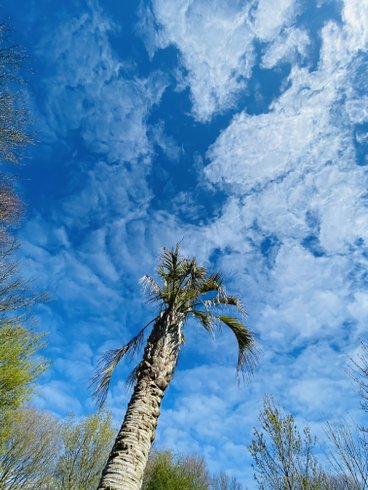 Domaine AbracadaRoom : Jardin Zen du Quistillic - Image 16