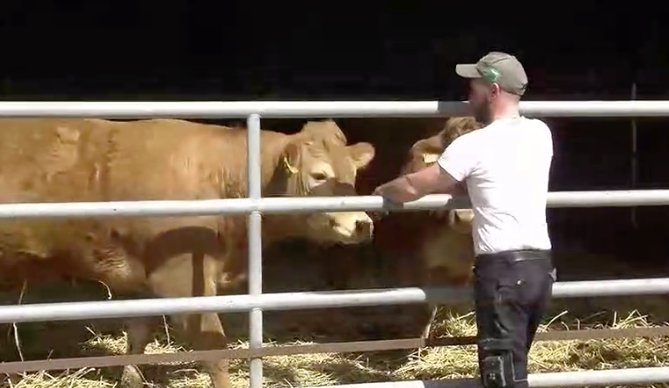 Domaine AbracadaRoom : Ferme des Coutures - Image 4