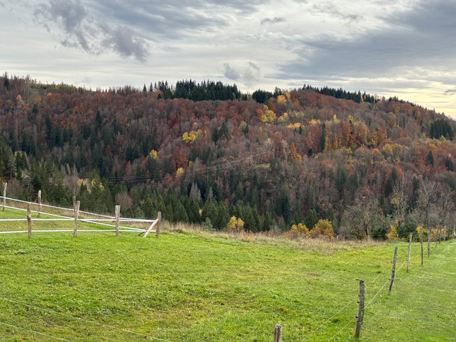 Hébergement AbracadaRoom : Tiny house Athena & Spa - Image 36