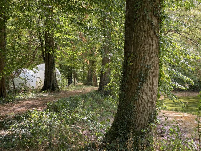 Hébergement AbracadaRoom : Bulle de l'étang - Image 10