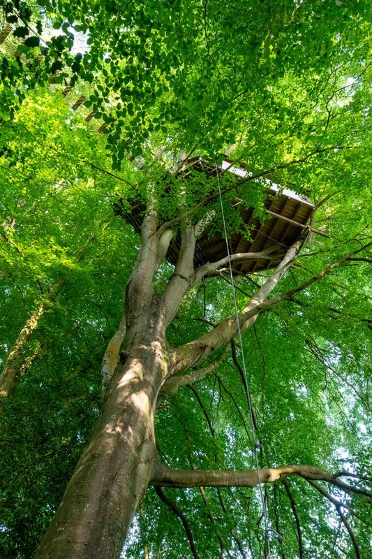 Cabane Mésange à Saint Pierre Azif (2)