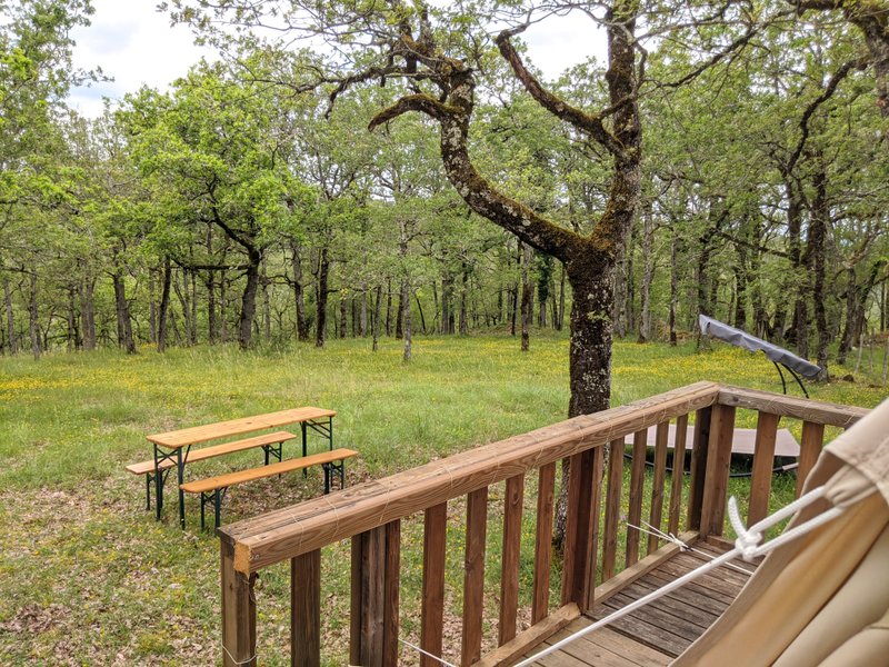 Hébergement AbracadaRoom : Espace ORCHIDEE - Image 2