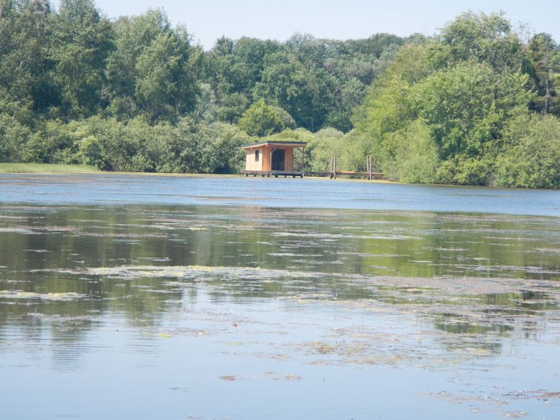 Les Gîtes de Robin'Son