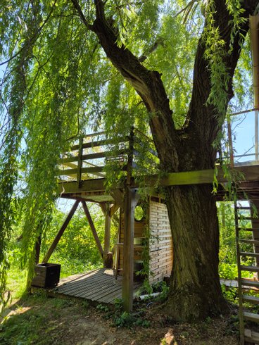 Hébergement AbracadaRoom : Dans un arbre perché - Image 28