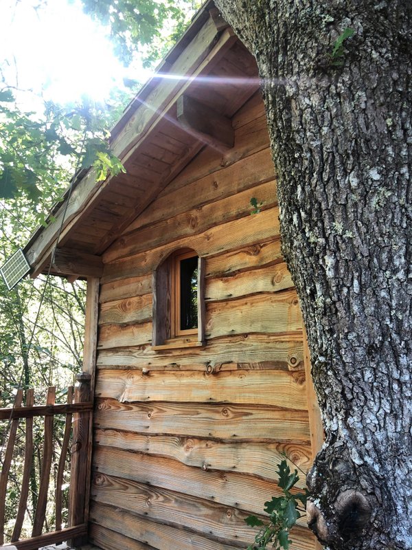 Cabane Ecureuil à Lempzours (7)