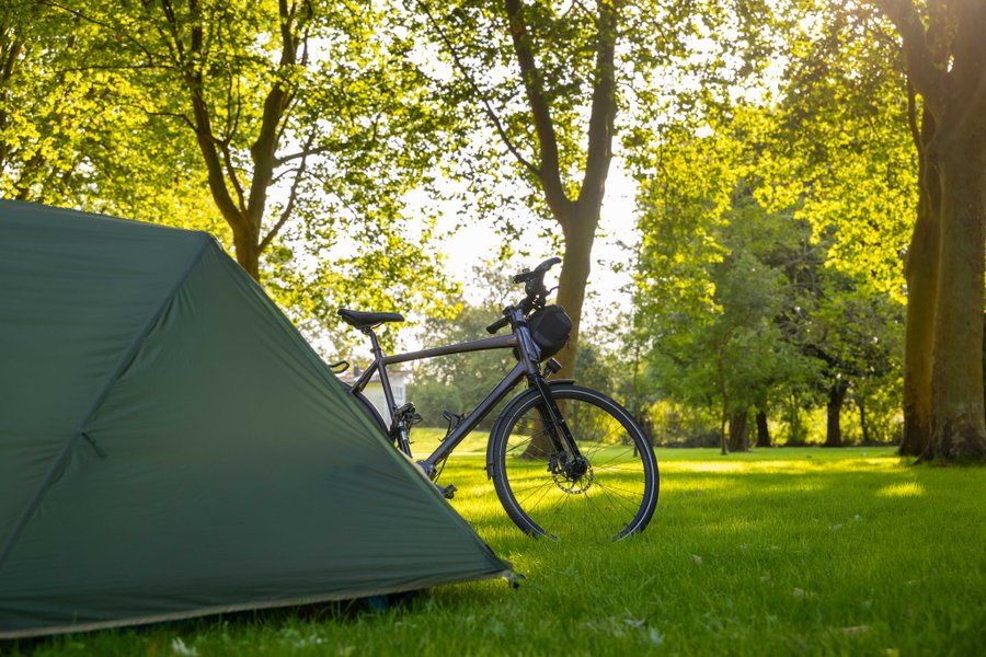 Domaine AbracadaRoom : Saintes Grandes Rives - Image 2