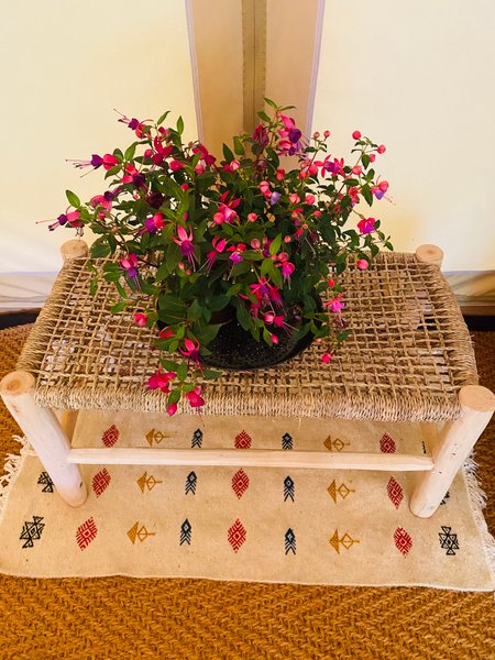 Hébergement AbracadaRoom : Tente Zina - Image 20