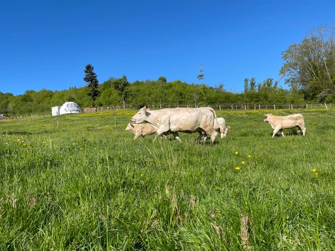 Domaine AbracadaRoom : Fleur de Lune - Image 2