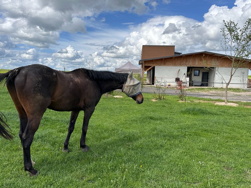 Hébergement AbracadaRoom : La Stabu des prés Hauts & Spa - Image 19