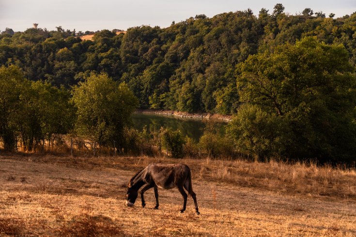 Hébergement AbracadaRoom : Homnest - Reflets de Loire - Vue sur les Gorges - Image 3