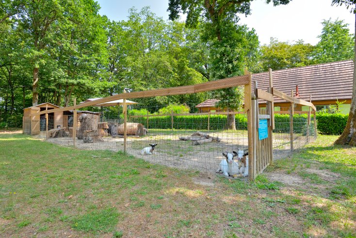 Domaine AbracadaRoom : Seasonova Camping Etang de la  Vallée - Image 29