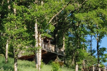 Cabane  Chataignier à Singles (2)