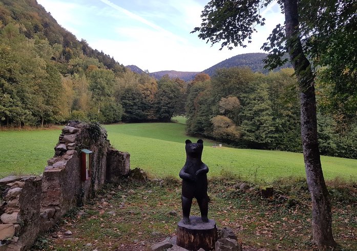 Domaine AbracadaRoom : NatureZenKota - Image 5