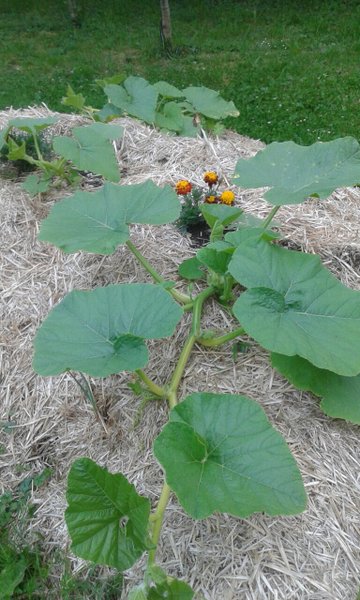 Domaine AbracadaRoom : La Croix Saint Louis - Image 4