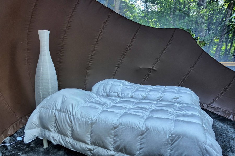 Hébergement AbracadaRoom : Bulle Spa du Château - Image 21