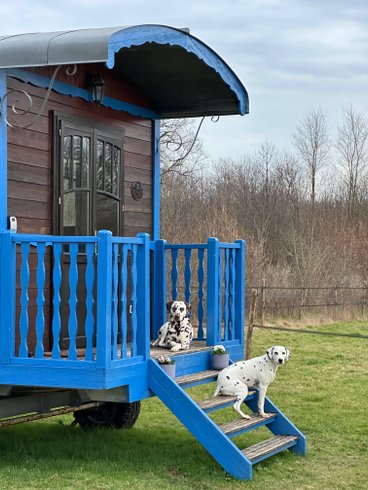 Domaine AbracadaRoom : Les roulottes des amis de Wonky - Image 5