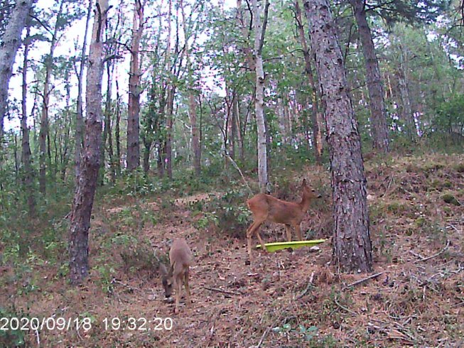 Domaine AbracadaRoom : Domaine Solio - Image 6