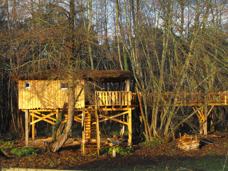 Cabane des cerfs