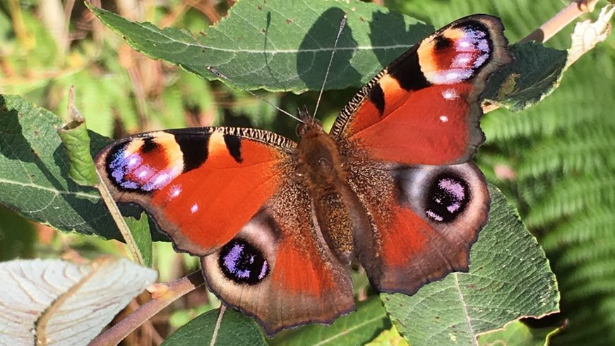 Domaine AbracadaRoom : La Ferme de la Goursaline - Image 10